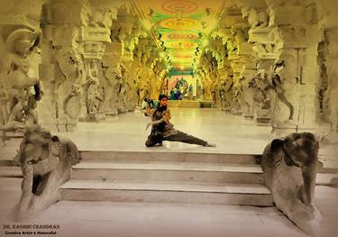 Print of Art Deco Performing Arts Photography by rashmi chandran