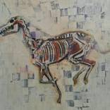47 ( Run ) by Talal Hamadah