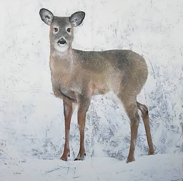 Original Animal Paintings by Amelie Robitaille