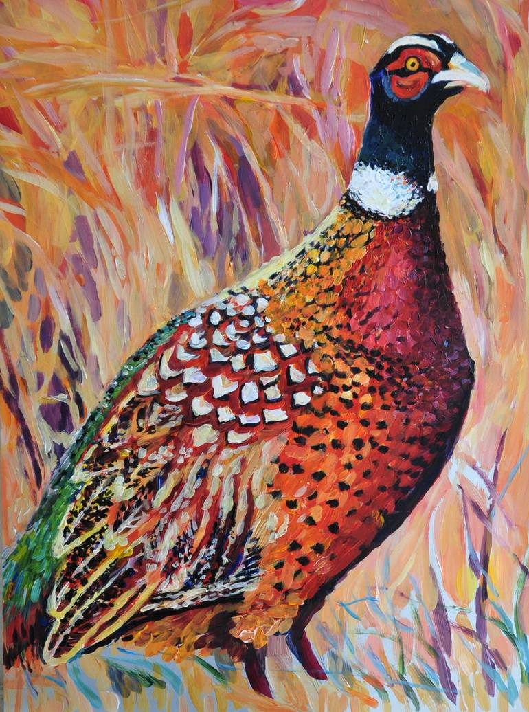 Ring-Necked Pheasant - Signed Fine Art Print