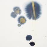 Collection Metallic Accents