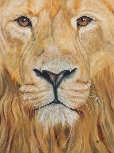 Original Fine Art Animal Paintings by Jeanette Sthamann