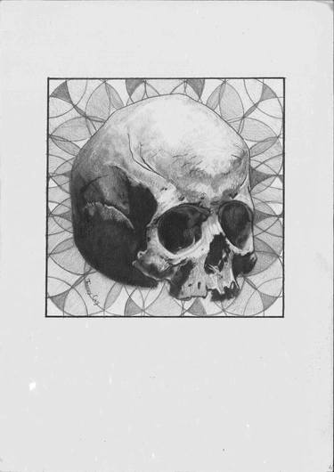 Skull graphite drawing thumb