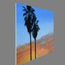 Desert Silhouette side