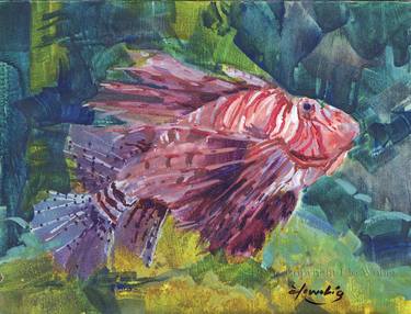 Original Realism Fish Paintings by Elo Wobig