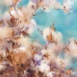 Cotton flowers by Denis Moroz