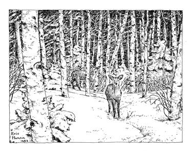 Deer in the Snow (Birch Trees) thumb