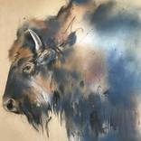 Bison by Sophie Elinor Martin