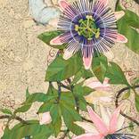 Passion Flower by KAREN SIKIE