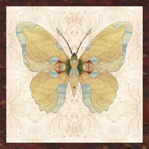 Summer Butterfly, #1