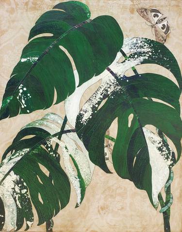 Variegated Monstera Deliciosa thumb