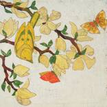 Collection Fresh Finds