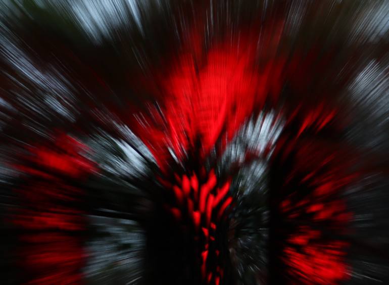 Original Minimalism Abstract Photography by Raquel Winn