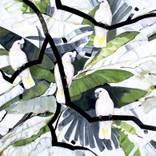 Correlation by Sara Cooke